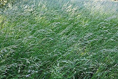 20分钟视频演示《异度神剑3》雪原地图试玩